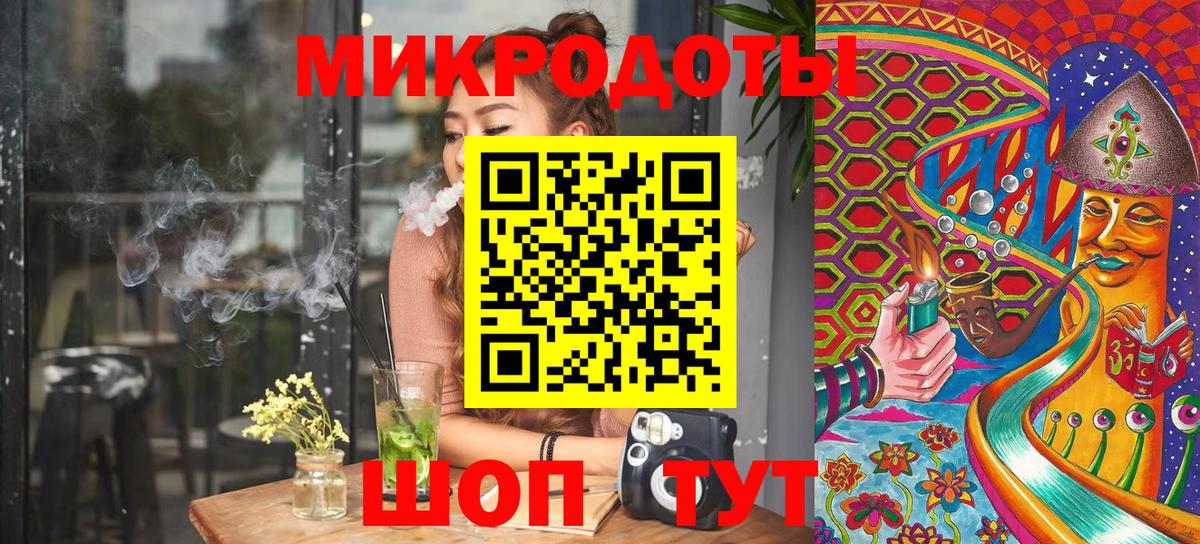 Галлюциногенные грибы Psilocybe Заинск