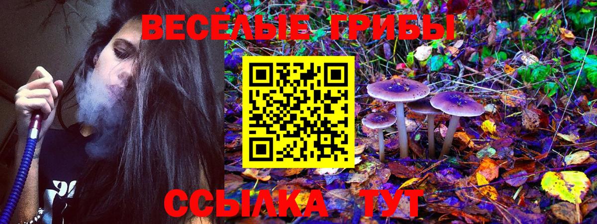 Заинск  Псилоцибиновые грибы MAGIC MUSHROOMS  Псилоцибиновые грибы ЛСД  как найти   Вход с VPN 